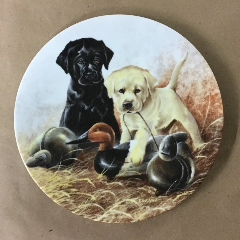 Field Puppies Collection - United kennel Club
