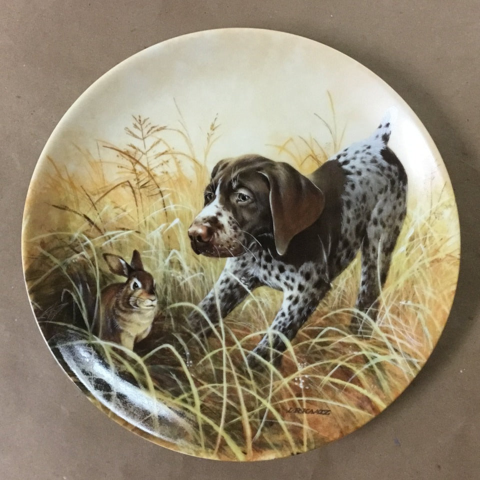 Field Puppies Collection - United kennel Club