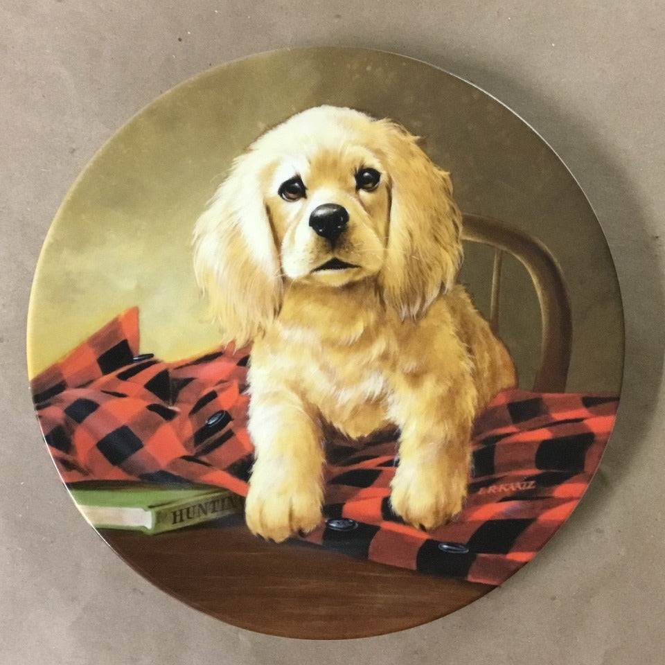 Field Puppies Collection - United kennel Club