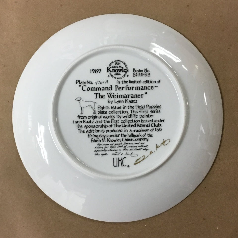 Field Puppies Collection - United kennel Club