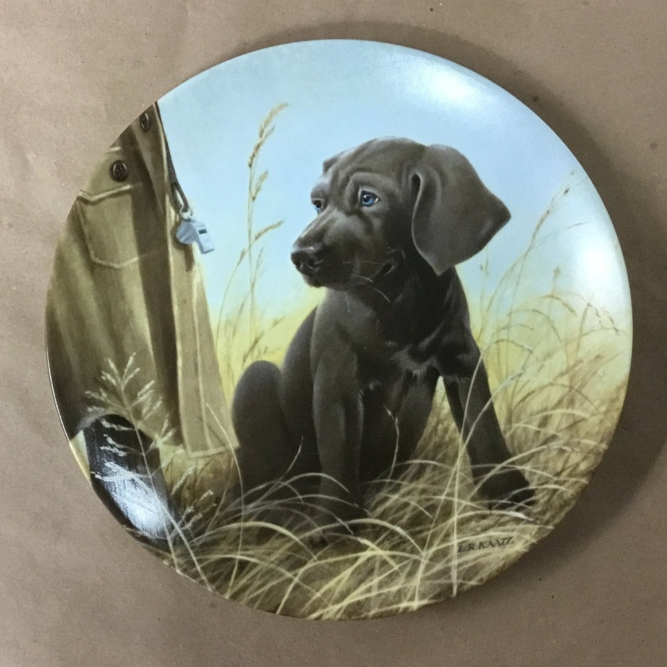 Field Puppies Collection - United kennel Club