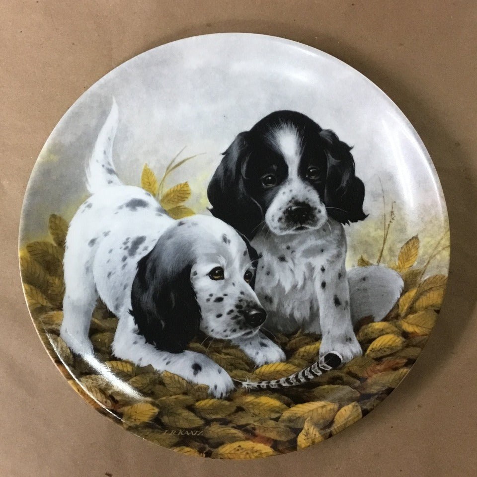 Field Puppies Collection - United kennel Club