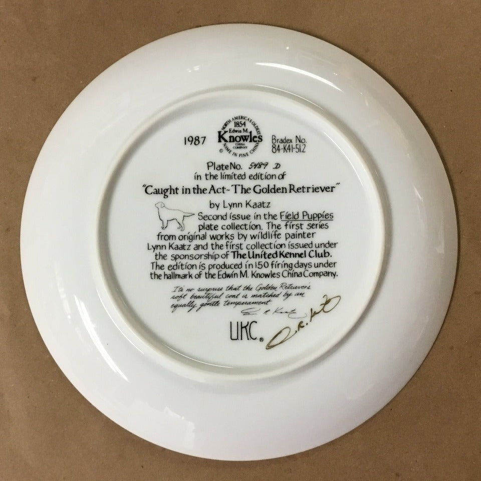 Field Puppies Collection - United kennel Club