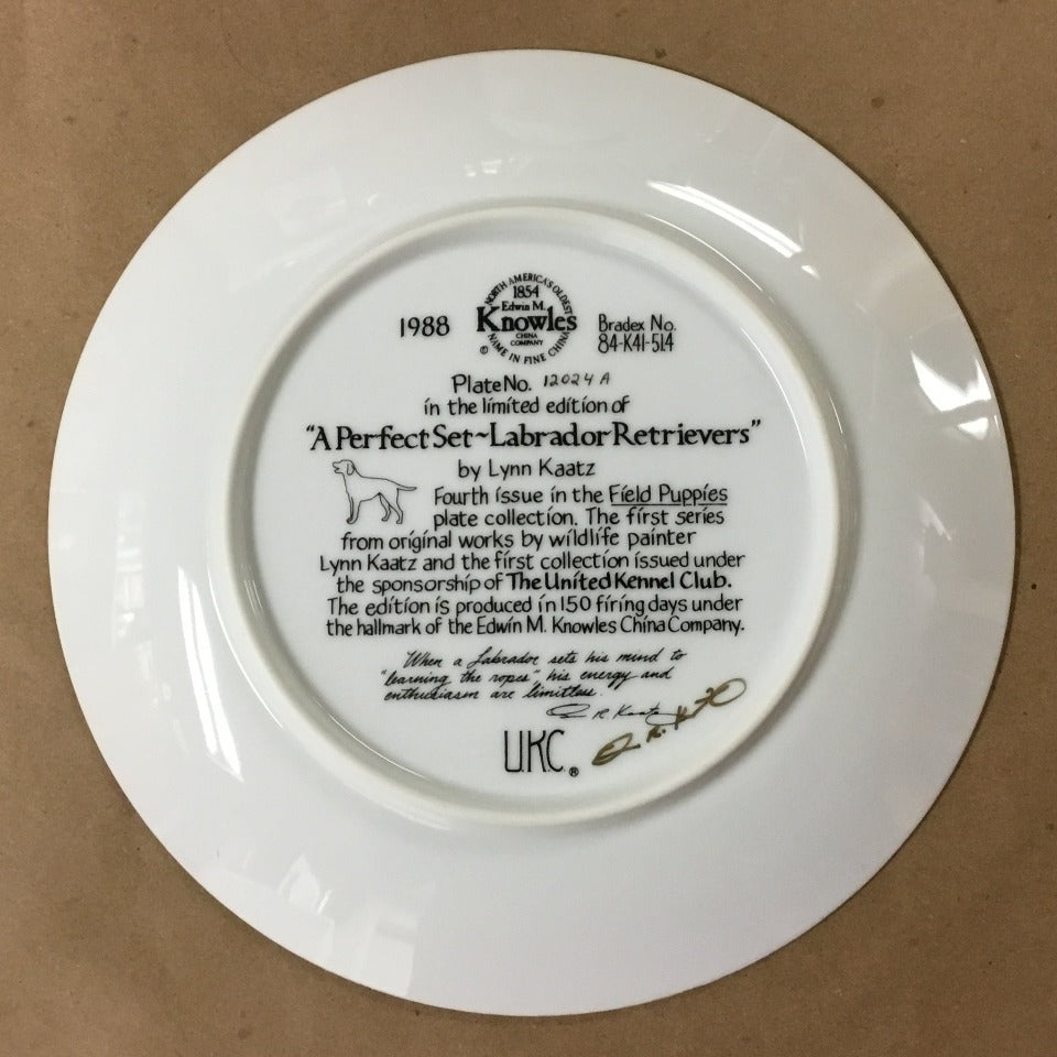 Field Puppies Collection - United kennel Club