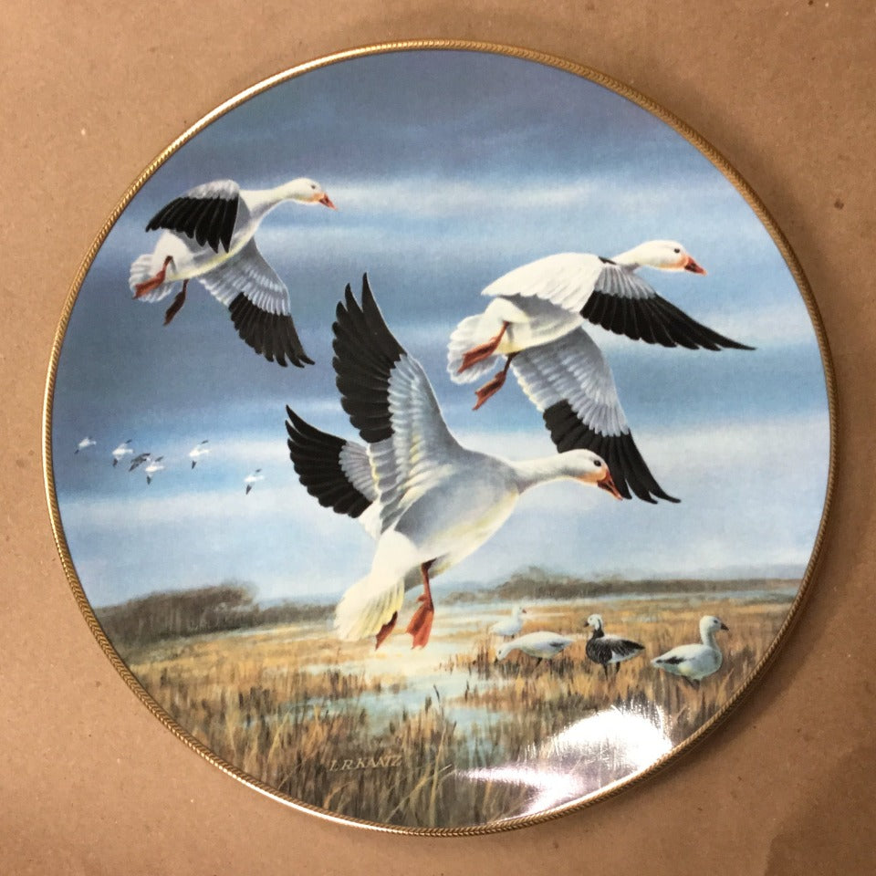 ducks unlimited painting