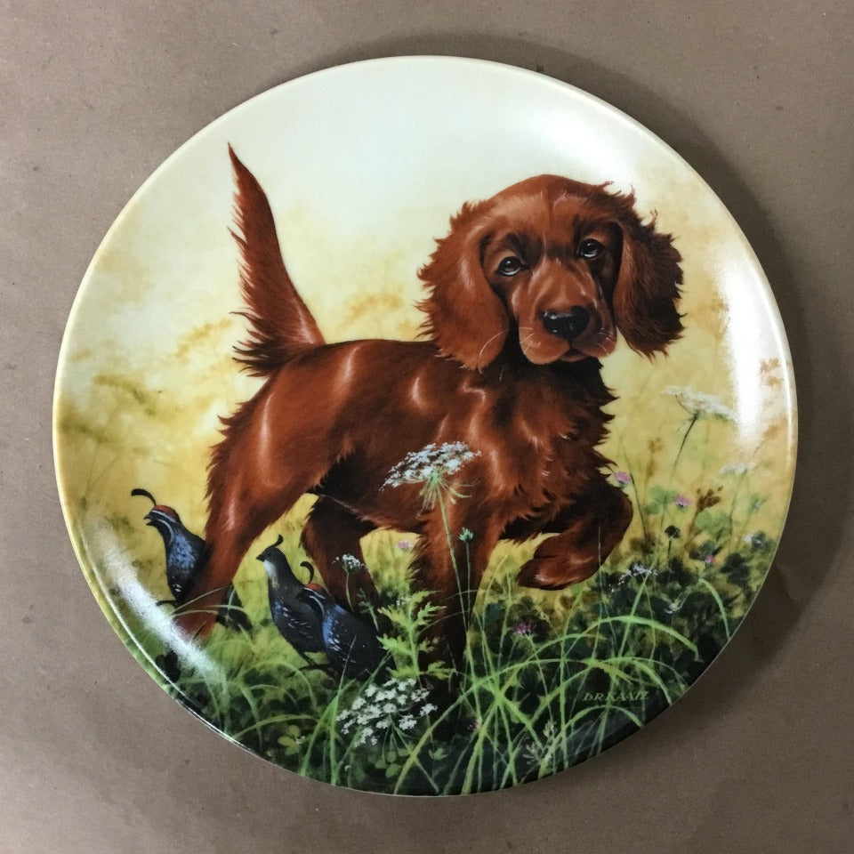 Field Puppies Collection - United kennel Club