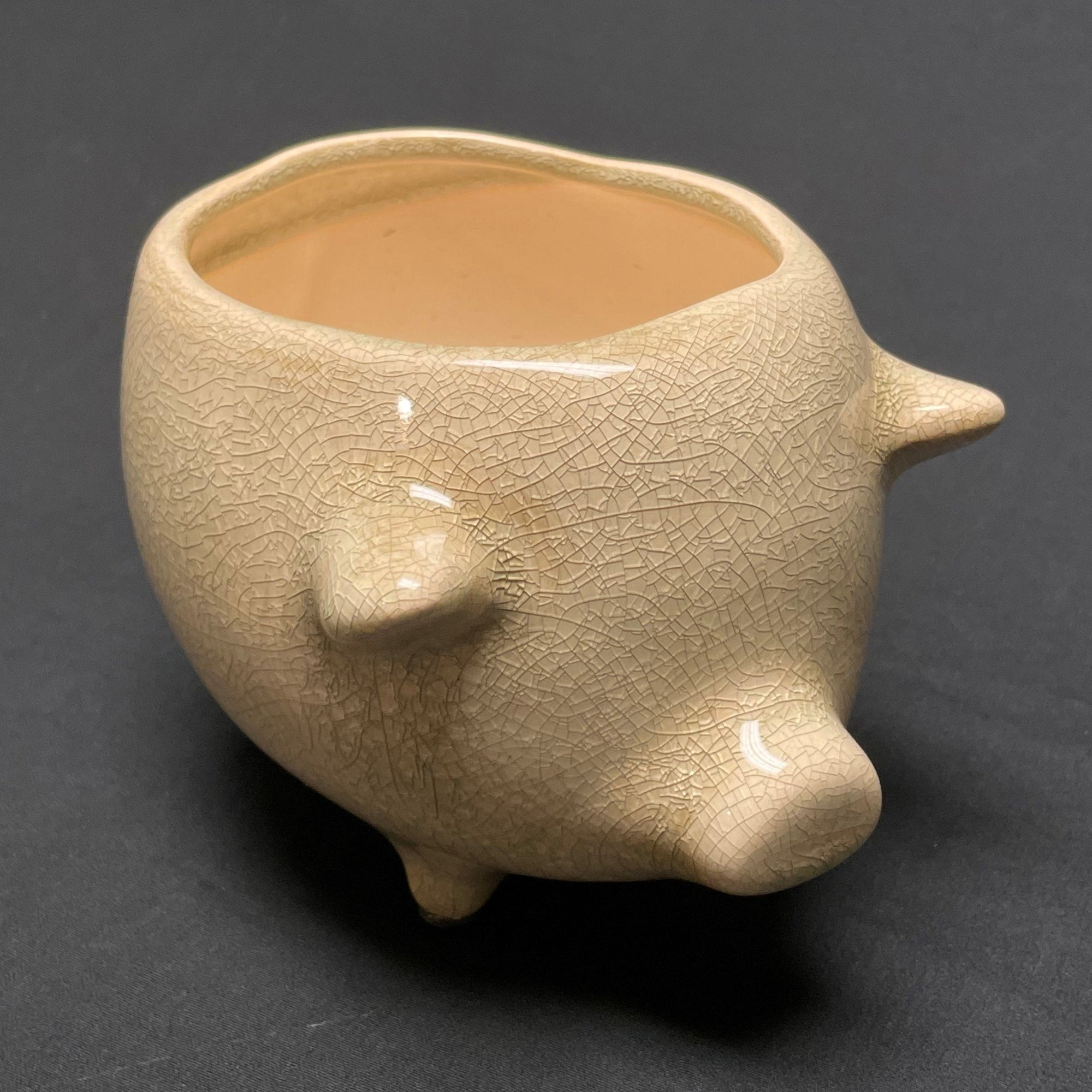 Terra Cotta Pig Planter