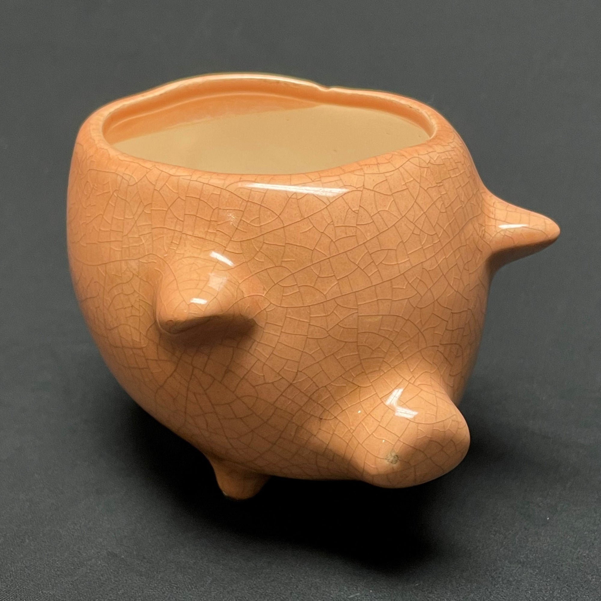 Terra Cotta Pig Planter