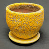 Yellow terra cotta Planter with Saucer